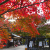 トロッコ嵐山駅