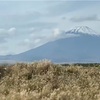 日帰りツアー参加 柿田川湧水地&みかん狩り