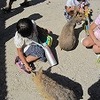 楽しかった愛知牧場