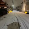 帰宅時は雪"(-""-)"