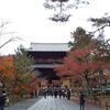 【南禅寺の紅葉】山門に続くモミジロード！秋の早朝散歩を楽しむ♪