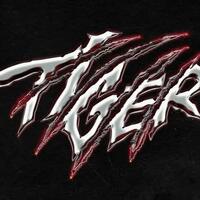 THE BOYZ - Tiger 歌詞「和訳対照」