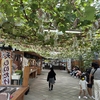 【お出かけスポット】【埼玉県】【秩父郡】小松沢レジャー農園に行ってきました