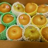 今年も刈屋の梨が届く