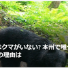 【クマイシス？！＝頻発するクマ被害……12／30、1／4　年末年始もクマの脅威、冬眠しないクマ】＃501