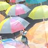 梅雨の晴れ間