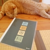 「老猫専科」参加