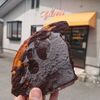 東根市　シトロン　アップルケーキをご紹介！🍰