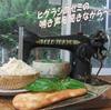 そうめんカレーつけ麺ナンちゃって～・・・そうめんは麺つゆが一番！・・・レトロテーブルで♪～