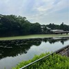 7月９日　創造的であるためには。アマゾンプライムで「ファーゴ」シリーズを視聴開始（いまさら）。