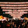 令和5年 府中 大國魂神社 酉の市開催日（11月11日・23日）