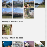 旅行中に一眼カメラで撮った写真をバックアップするならFlickrアプリが便利