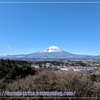 伊豆旅行2024　~嵯峨沢館 お部屋編～