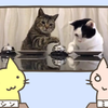 猫「いいか、エサが欲しい時はこのベ･･･」「わかりました」ﾁｰﾝ
