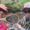 本格シーズンイン🏞️癒しの渓流ルアー🎣でイワナ連打&ヤマメやアマゴも🤩