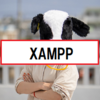 XAMPPのインストール手順