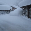 コロナは無縁だが、連日の除雪