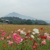 未来の街と歴史の山　②