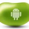 Galaxy NexusにAndroid 4.1（Jelly Bean）を入れた方々の感想をまとめてみました