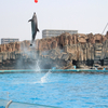 名古屋港水族館