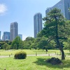 【新橋】浜離宮恩賜庭園