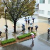 雨上がりの秋空に♪ 