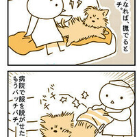 【犬漫画】もふもふ犬の静電気対策