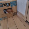 ルンバを箱の中から見つめる