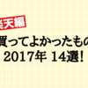 楽天編！今年買ってよかったもの14選。2017年