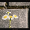 Photo No.1948 / 今週も乗り切った