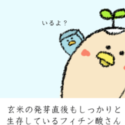 イラストで学ぶ健康食品 ねこやまローカボ日誌