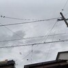 今日はずっと雨