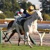 希少な白毛馬ソダシが阪神ＪＦの本命に。過去の白毛馬についてもまとめてみる。