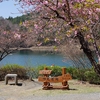 小高山　天狗岩　大平山　蛾ヶ岳　大畠山