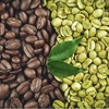 新たな発見💡グリーンコーヒーの効果と使い分け🌿