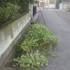 町内ボランティア
