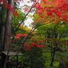 2025年11月5日(水)　[湖東三山]古刹を丁寧にみると、湖東三山自然歩道を歩く時間がなくなる!!