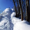 そろそろ気が付きましょう