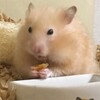 あんずあん95日目