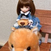 アイドール東京行動予定