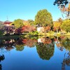 【京都】嵐山、『大覚寺』に行ってきました。紅葉 
