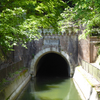 山科琵琶湖疏水散策♪