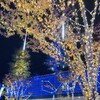 気づけばネオンが灯っていた／結婚記念日／山手線の謎解き