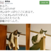 『おるで猫』の事。