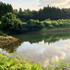 長江の下池（仮称）（新潟県佐渡）