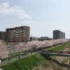 花見 de 自転車