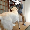 翁とインベーダーおっさん