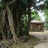 黒島から宮古島への航海をうたった《ぱいふた　ふんたか ユングトゥ》＿1