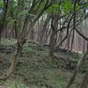 再び八王子市「高尾山～城山～バリルート」へ