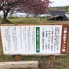 三崎公園キャンプ場　その2